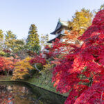 歴史ある青森の城と見どころを紹介